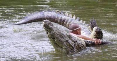 Father Fights Alligator to Save Son