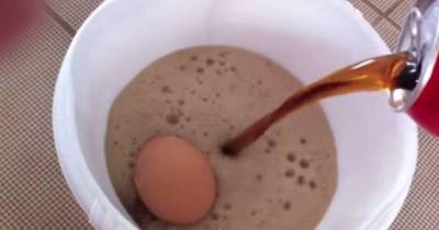 Drop Hard Boiled Egg in Coca-Cola, What Will Happen Next Will Disturb You