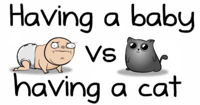 Having A Baby VS Having A Cat