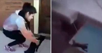 Masked Woman Drops Cat Off Balcony To Test &lsquo;Always Lands On Feet&rsquo; Myth