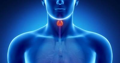 How To Naturally Heal Your Thyroid