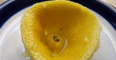 Horrifying Birth Control Methods From The Past
