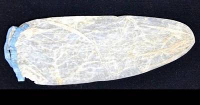 You Won't Believe What This 200-year-old Condom Was Made Of