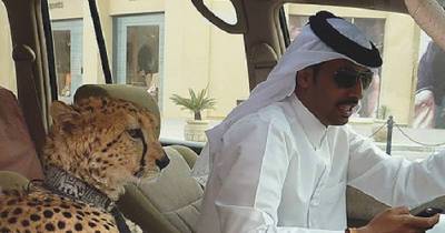 20 Things That Probably Only Happen in Dubai