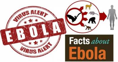 10 Facts That You Should Know About Ebola Virus