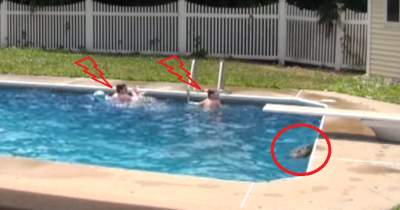 Epic Alligator Pool Prank Scarred Boys Real Good