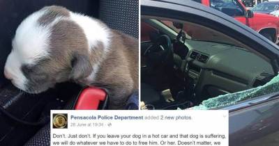 This Police Force Delivered A Stern Message To People Who Leave Their Dogs In Cars