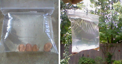 She Keeps Pennies In A Bag Filled With Water On Her Back Porch For The Entire Summer! Good To Know!