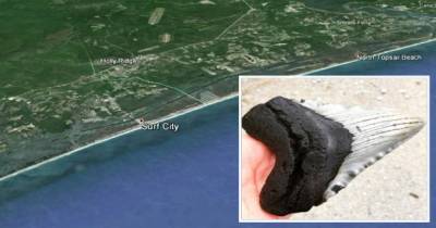 What Just Washed Up On A Beach In North Carolina Is A Terrifying Reminder