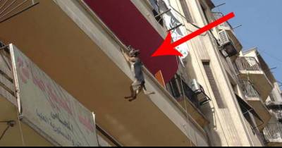 They Were Shocked When They Saw A Dog Hanging From A Balcony, What Happened Next? OMG!