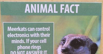 Guy Leaves Fake Animal Facts All Over Los Angeles Zoo