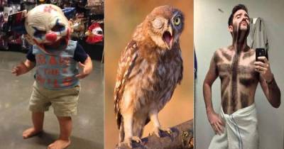 WTF Pictures That You Won't Be Able To Explain