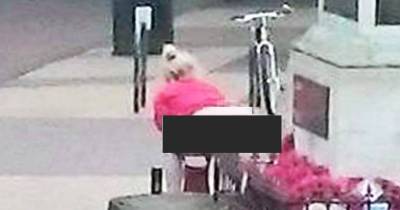 Woman Arrested After Committing This Heinous Act