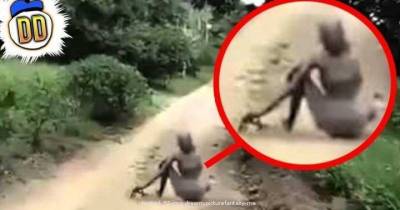 The Top 5 Unexplained Sightings Caught On Tape, This Stuff is Scary