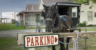 Things You Might Not Know About The Amish