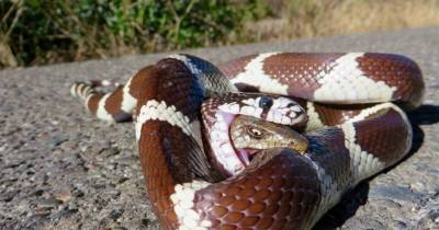 These Hysterical Thumbnails Will Prove That What You See Is Not Always True