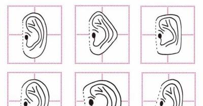 What Your Ear Shape Says About Your Personality