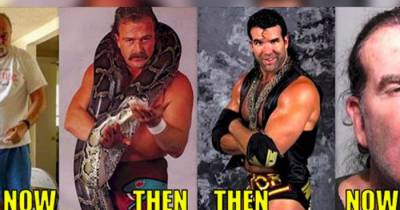 8 Legendary Wrestlers Before And After Their Careers