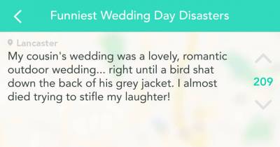 15 Hilarious Wedding Day Disasters That Will Make You Glad That You Are Single