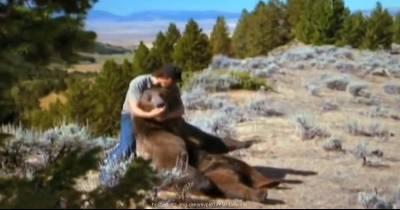 He Finds A Bear Cub Beside Its Dead Mother. What He Does Next? I'm Speechless.