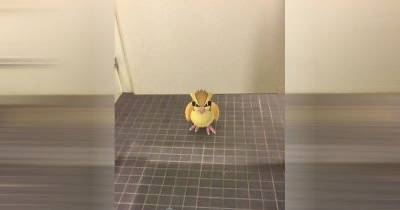 Weird Places People Are Finding Pokemon on &lsquo;Pokemon Go&rsquo;