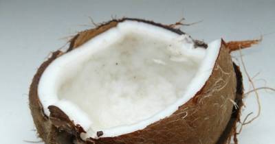 You&rsquo;ll Fall Off Your Chair, When You Hear The Newly Discovered Effect Coconut Oil Can Have.