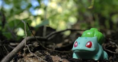 The Funniest Places People Have Found Pok&eacute;mon Using Pok&eacute;mon Go