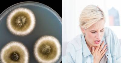 17 Signs Of Mold Illness (And How To Tell If You&rsquo;re At Risk)