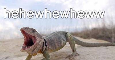 11 Things You'll Only Get If You Are Terrified Of Lizards!
