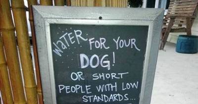 28 Funny Signs That Got Right To The Point