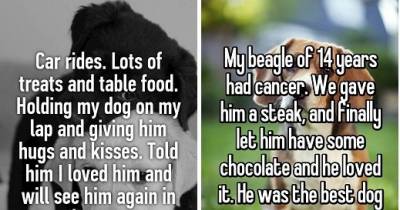 17 Last Moments With Dogs That Will Give You All The Feels