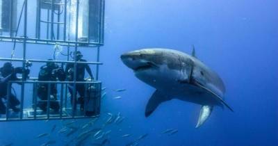 Expensive Extreme Vacations That Will Leave You Breathless