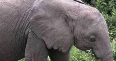 The 15 Of The Creepiest "When You See It" Pictures Ever That Will Freak You Out!