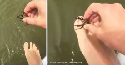 How To Catch A Fish With Your Toes