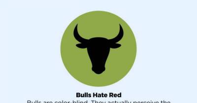 Popular Facts That Are Anything But True