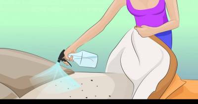 This Woman Sprays Alcohol On Her Bed. She Can't Believe What She Finds That Night!!