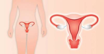 14 Things About Your Body That Will Make You Cringe