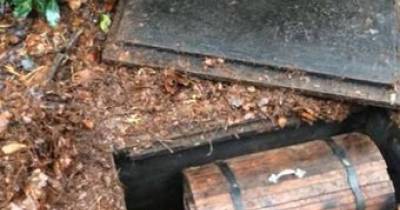 What This Guy Found In The Woods Is Insanely Cool