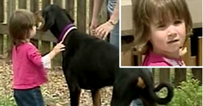 Dog Snatches Little Girl And Throws Her To The Other Side Of The Room. When Mom Strokes Him Afterwards? I Can&rsquo;t Believe This.
