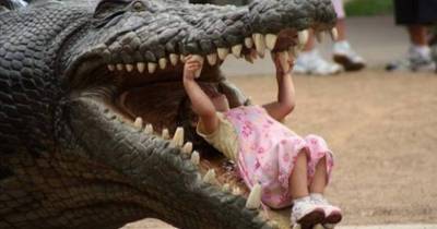 15 Shocking Alligator Attacks You Won&rsquo;t Believe