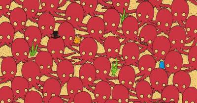 91% Of Internet Fails To Find A Tiny Fish Hidden In The Crowd Of Octopus