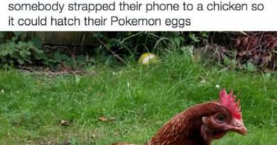 17 Ridiculous Methods People Have For Hatching Eggs On Pok&eacute;mon Go