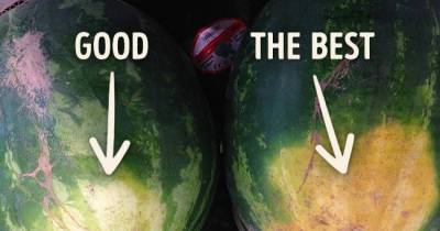 How To Pick A Perfect Watermelon: Tips From An Experienced Farmer