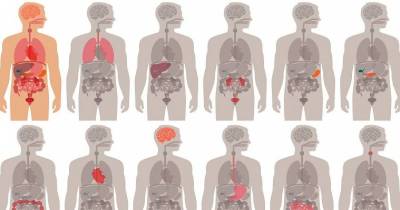 9 Things That Happen To Your Body When You Stop Eating Meat