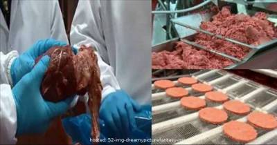 McDonald&rsquo;s Finally Admits What&rsquo;s Inside Their So-Called &ldquo;Burgers&rdquo;