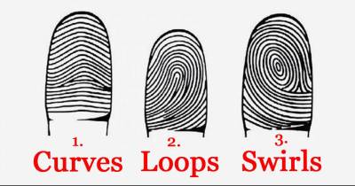 What Do Your Fingerprints Reveal About Your Personality?