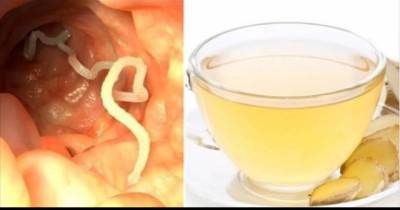 Garlic Is An Amazing Natural Remedy That Will Purge Parasites From Your Body!
