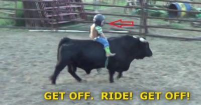 Four Year Old Boy Fearlessly Rides A Bull One Handed