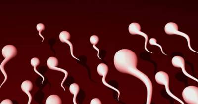 7 Signs Your Semen Is Healthy and Strong!