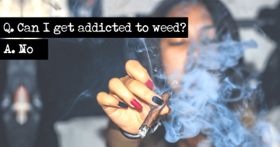 6 Most Commonly Googled Questions About Weed And The Answers To Them